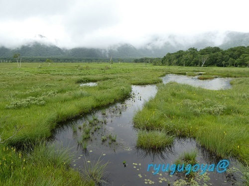 20240715-02keizurukouhou.jpg