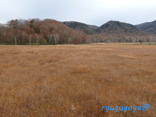 20241026-03ryugujyujiro.jpg