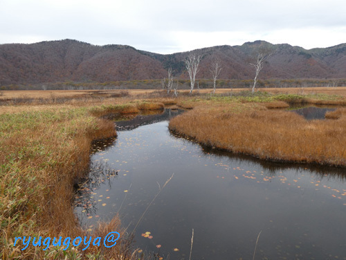 20241026-04simonoohori.jpg